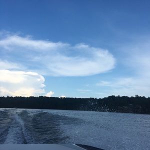 Meet your Posher, Lily